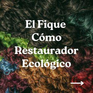 Read more about the article THE FIQUE AS AN ECOLOGICAL RESTORER