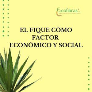 Lee más sobre el artículo EL FIQUE CÓMO FACTOR ECONÓMICO Y SOCIAL