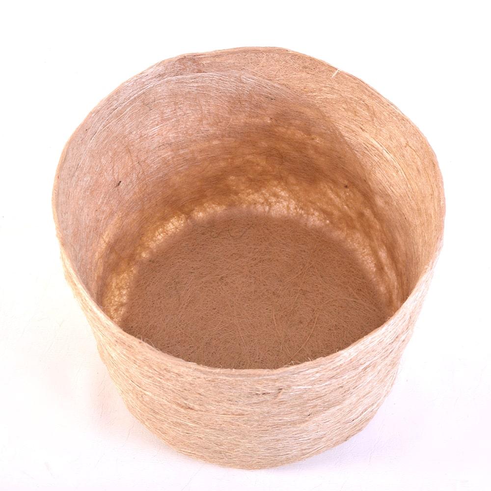 Contenedor-Aglomerado-2-min