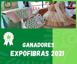 Read more about the article WINNERS OF THE V NATIONAL DESIGN COMPETITION IN NATURAL FIBERS